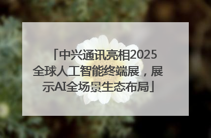 中兴通讯亮相2025全球人工智能终端展，展示AI全场景生态布局