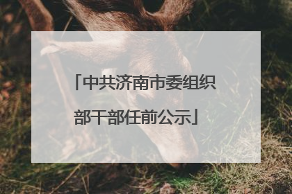 中共济南市委组织部干部任前公示
