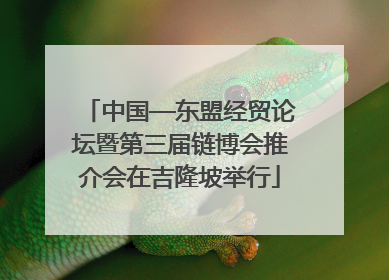 中国—东盟经贸论坛暨第三届链博会推介会在吉隆坡举行