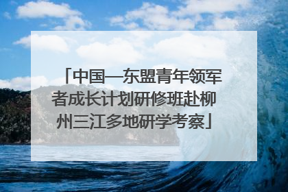 中国—东盟青年领军者成长计划研修班赴柳州三江多地研学考察