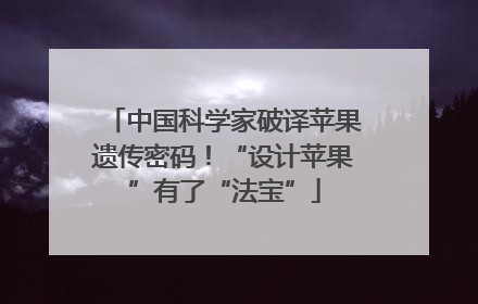 中国科学家破译苹果遗传密码！“设计苹果”有了“法宝”