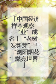 中国经济样本观察·一“业”成名丨“老树发新芽”！“浏阳烟花”燃亮世界