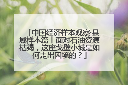 中国经济样本观察·县域样本篇丨面对石油资源枯竭，这座戈壁小城是如何走出困境的？