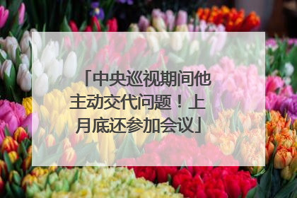 中央巡视期间他主动交代问题！上月底还参加会议