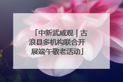 中新武威观｜古浪县多机构联合开展端午敬老活动