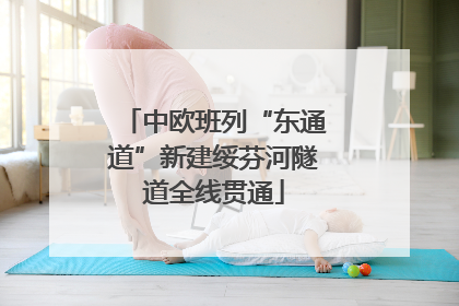 中欧班列“东通道”新建绥芬河隧道全线贯通