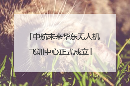 中航未来华东无人机飞训中心正式成立