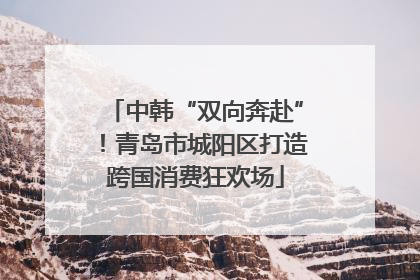 中韩“双向奔赴”！青岛市城阳区打造跨国消费狂欢场