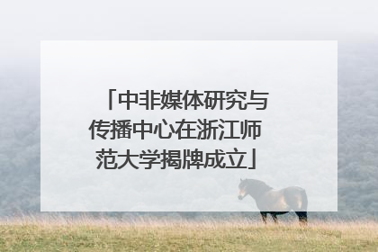 中非媒体研究与传播中心在浙江师范大学揭牌成立