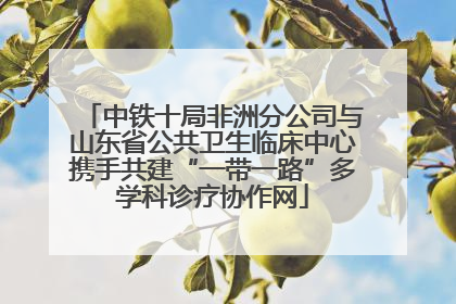 中铁十局非洲分公司与山东省公共卫生临床中心携手共建“一带一路”多学科诊疗协作网