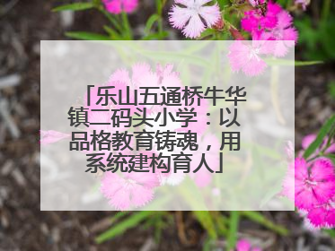 乐山五通桥牛华镇二码头小学：以品格教育铸魂，用系统建构育人