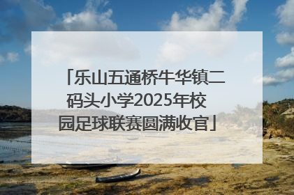 乐山五通桥牛华镇二码头小学2025年校园足球联赛圆满收官