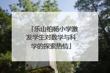 乐山柏杨小学激发学生对数学与科学的探索热情