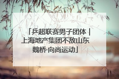 乒超联赛男子团体｜上海地产集团不敌山东魏桥·向尚运动