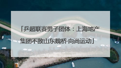 乒超联赛男子团体：上海地产集团不敌山东魏桥·向尚运动