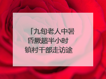 九旬老人中暑昏厥超半小时 镇村干部走访途中发现及时施救｜看见正能量