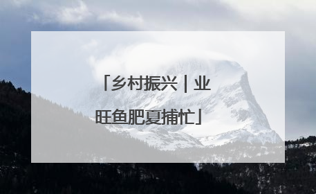 乡村振兴｜业旺鱼肥夏捕忙