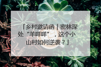 乡村邀请函｜密林深处“羊咩咩”，这个小山村如何逆袭？