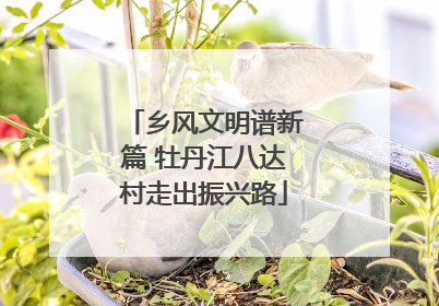 乡风文明谱新篇 牡丹江八达村走出振兴路