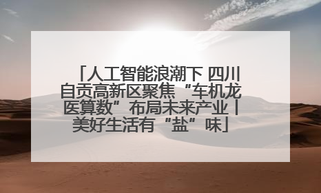 人工智能浪潮下 四川自贡高新区聚焦“车机龙医算数”布局未来产业丨美好生活有“盐”味
