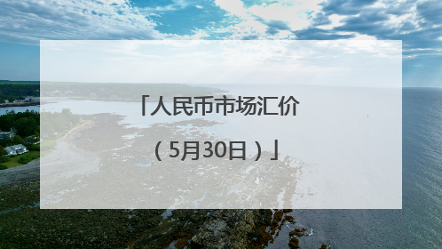 人民币市场汇价（5月30日）