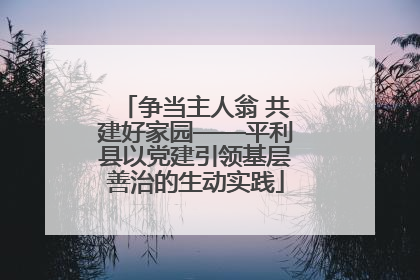 争当主人翁 共建好家园——平利县以党建引领基层善治的生动实践