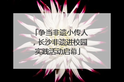 争当非遗小传人，长沙非遗进校园实践活动启幕