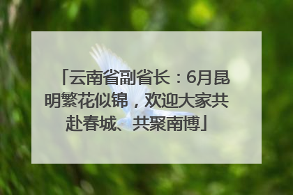 云南省副省长：6月昆明繁花似锦，欢迎大家共赴春城、共聚南博