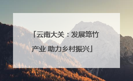 云南大关：发展筇竹产业 助力乡村振兴