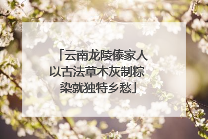 云南龙陵傣家人以古法草木灰制粽 染就独特乡愁