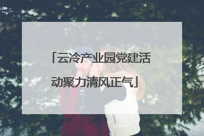 云冷产业园党建活动聚力清风正气
