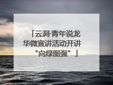云洞·青年说龙华微宣讲活动开讲“向绿图强”
