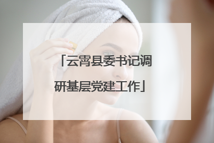 云霄县委书记调研基层党建工作