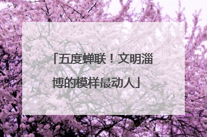 五度蝉联！文明淄博的模样最动人