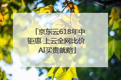 京东云618年中钜惠 上云全网比价 AI买贵就赔