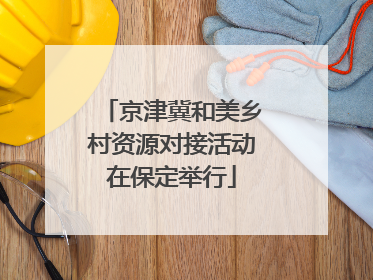 京津冀和美乡村资源对接活动在保定举行