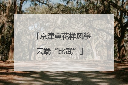京津冀花样风筝云端“比武”