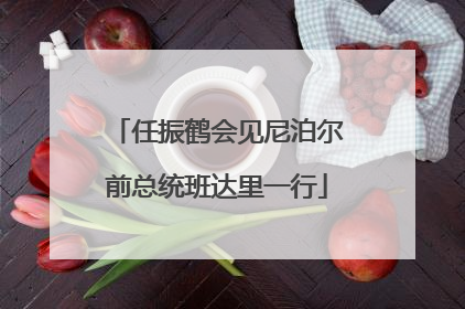 任振鹤会见尼泊尔前总统班达里一行