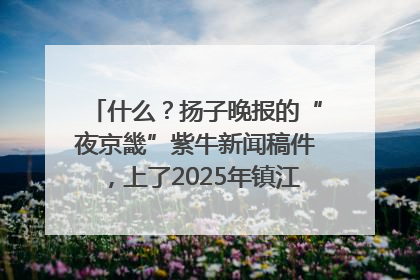 什么？扬子晚报的“夜京畿”紫牛新闻稿件，上了2025年镇江中考模拟卷！