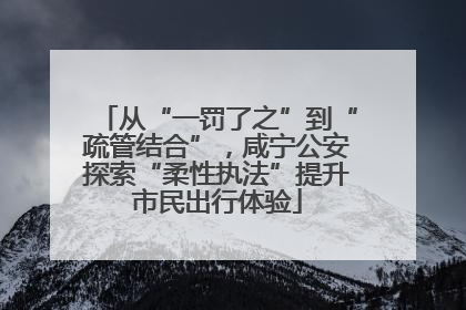 从“一罚了之”到“疏管结合”，咸宁公安探索“柔性执法”提升市民出行体验