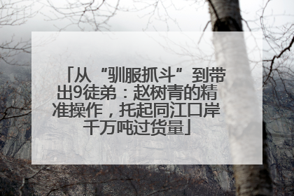 从“驯服抓斗”到带出9徒弟：赵树青的精准操作，托起同江口岸千万吨过货量
