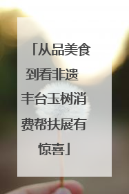 从品美食到看非遗 丰台玉树消费帮扶展有惊喜