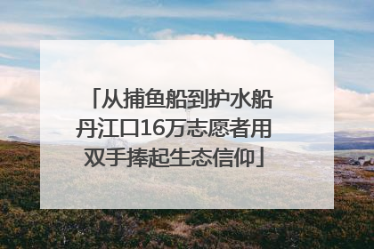 从捕鱼船到护水船 丹江口16万志愿者用双手捧起生态信仰