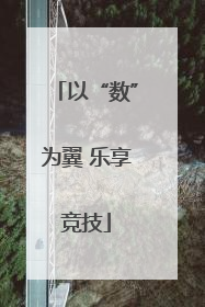 以“数”为翼 乐享竞技