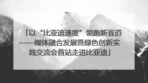 以“比亚迪速度”领跑新赛道——媒体融合发展暨绿色创新实践交流会首站走进比亚迪