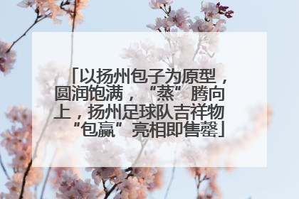 以扬州包子为原型，圆润饱满，“蒸”腾向上，扬州足球队吉祥物“包赢”亮相即售罄