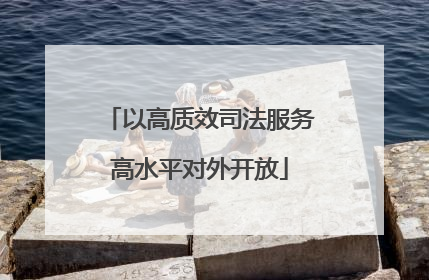 以高质效司法服务高水平对外开放