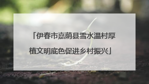 伊春市嘉荫县雪水温村厚植文明底色促进乡村振兴