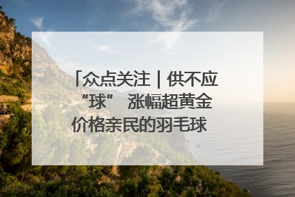 众点关注｜供不应“球” 涨幅超黄金 价格亲民的羽毛球为何身价飞涨？