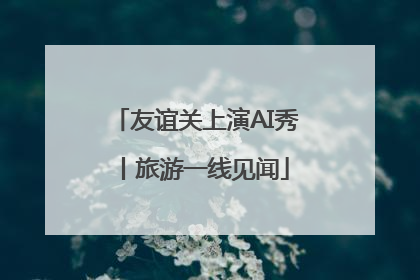 友谊关上演AI秀丨旅游一线见闻